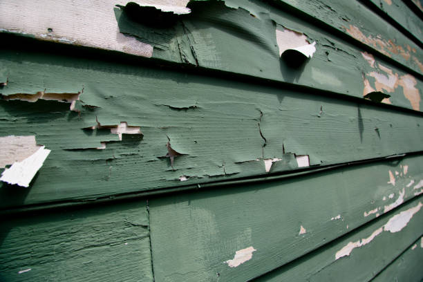 Affordable siding repair and maintenance services in Rose Hills, CA