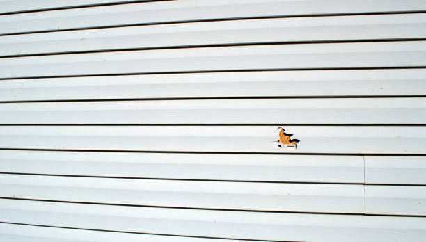 Best Stucco Siding  in Rose Hills, CA